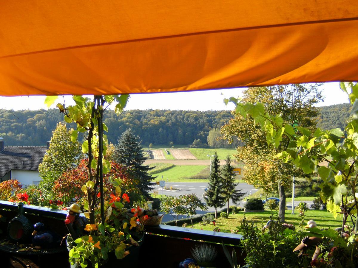 Hotel-Restaurant Lindenhof Kreuzwertheim エクステリア 写真